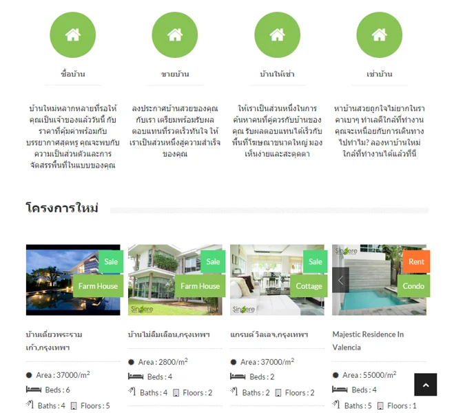 Website Design Project 17